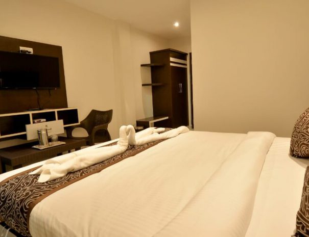 mountview_pristine_delux_room_4