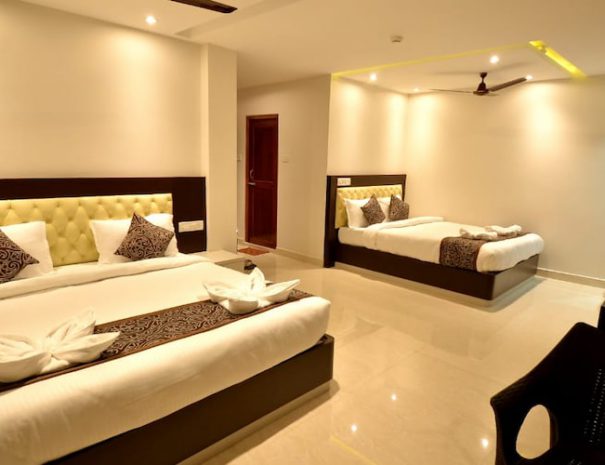 mountview_pristine_family_delux_room_2